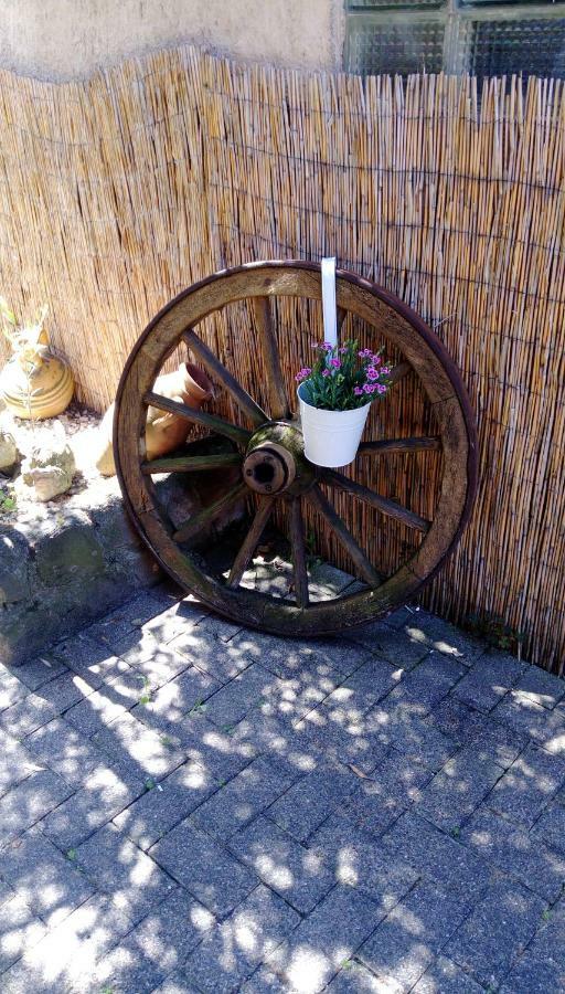 Ferienwohnungen Pension Aurora Kappel-Grafenhausen Esterno foto